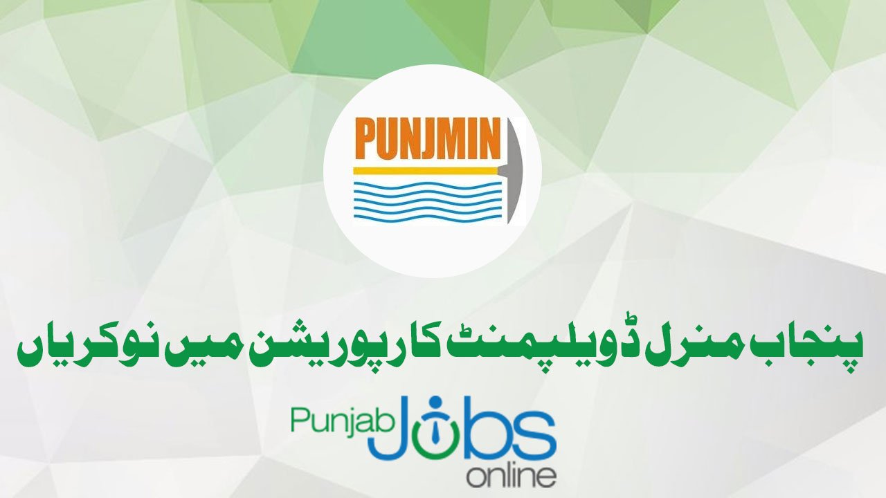 PUNJMIN Jobs